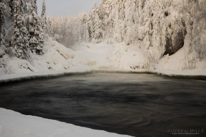 Jyrävä Tero Hintsa