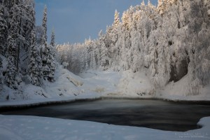 Jyrävä Tero Hintsa