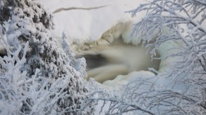 Jyrävä Tero Hintsa