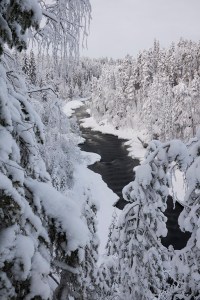 Kitkajoki Tero Hintsa
