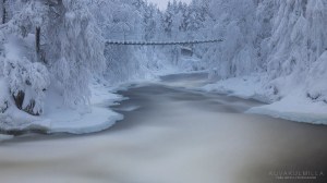 Kitkajoki Myllykoski Tero Hintsa