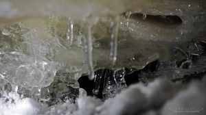 Lahankoski Pornainen Tero Hintsa