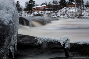 Pukarankoski Koskenkorva Tero Hintsa
