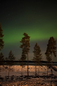Revontulet Seinäjoki Tero Hintsa