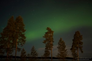 Revontulet Seinäjoki Tero Hintsa