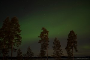 Revontulet Seinäjoki Tero Hintsa