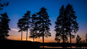 toimisto@vuokatinrinteet.fi