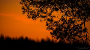 Auringonlasku 3.4.2015