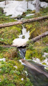 Muilusenpuro Lehtimäki Tero Hintsa