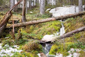 Muilusenpuro Lehtimäki Tero Hintsa