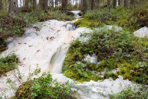 Muilusenpuro Lehtimäki Tero Hintsa