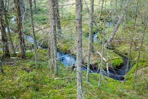 Muilusenpuro Lehtimäki Tero Hintsa