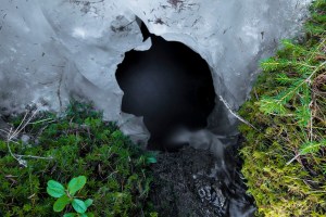 Muilusenpuro Lehtimäki Tero Hintsa