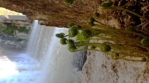 Jägala waterfall Tero Hintsa