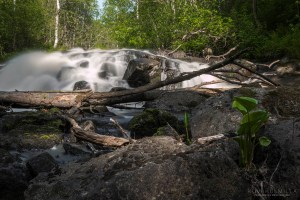 Korvenkoski Rutalahti Tero Hintsa 30.5.2016
