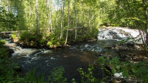 Korvenkoski Rutalahti Tero Hintsa 30.5.2016