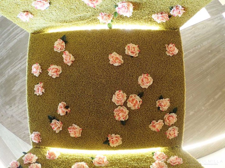 Seinäjoen kirjasto 28.5.2016 Tero Hintsa.