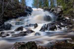 Varisköngäs Varisjoki Tero Hintsa 6.5.2016
