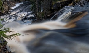 Varisköngäs Varisjoki Tero Hintsa 6.5.2016