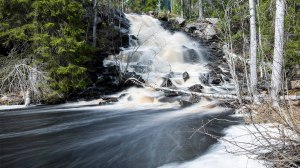 Varisköngäs Varisjoki Tero Hintsa 6.5.2016