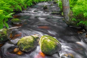 Pitkäkoski Katikankanjoni Kuvakulmilla Tero Hintsa