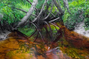 Katikanluoma Katikankanjoni Kuvakulmilla Tero Hintsa