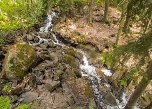 Myllypuron putous Tampere Kalkku Tero Hintsa 11.6.2016