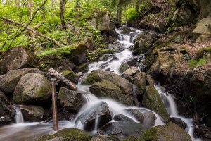 Myllypuron putous Tampere Kalkku Tero Hintsa 11.6.2016
