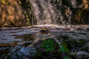 Strömbergin koski vesiputous Helsinki 12.6.2016 Tero Hintsa Kuvakulmilla
