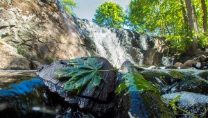 Strömbergin koski vesiputous Helsinki 12.6.2016 Tero Hintsa Kuvakulmilla