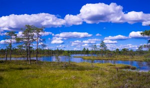 Kauhaneva-Pohjankangas Tero Hintsa Kuvakulmilla