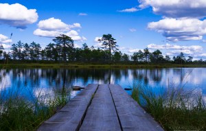 Kauhaneva-Pohjankangas Tero Hintsa Kuvakulmilla