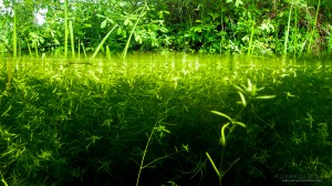 Lähiojassa TG4 Tero Hintsa Kuvakulmilla