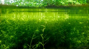 Lähiojassa TG4 Tero Hintsa Kuvakulmilla