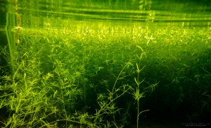 Lähiojassa TG4 Tero Hintsa Kuvakulmilla