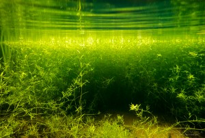 Lähiojassa TG4 Tero Hintsa Kuvakulmilla