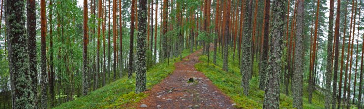 Leivonmäen kansallispuisto Joutsniemi Kuvakulmilla Tero Hintsa