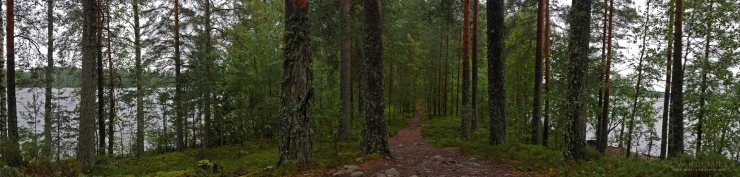 Leivonmäen kansallispuisto Joutsniemi Kuvakulmilla Tero Hintsa