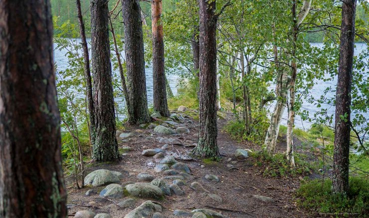 Leivonmäen kansallispuisto Kuvakulmilla Tero Hintsa