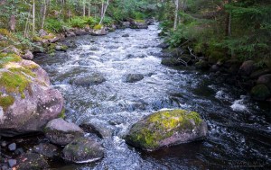 Leivonmäen kansallispuisto Joutsniemi Kuvakulmilla Tero Hintsa