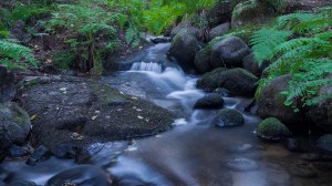 Leivonmäen kansallispuisto Joutsniemi Kuvakulmilla Tero Hintsa