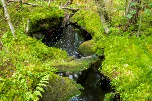Helvetinjärven kansallispuisto Tero Hintsa Kuvakulmilla
