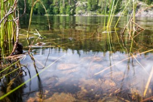 Helvetinjärven kansallispuisto Tero Hintsa Kuvakulmilla