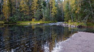 Palsankoski Tero Hintsa Kuvakulmilla