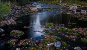 Palsankoski Tero Hintsa Kuvakulmilla