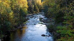 Palsankoski Tero Hintsa Kuvakulmilla