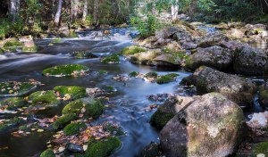 Palsankoski Tero Hintsa Kuvakulmilla
