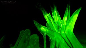 Valomaalaus 12 2016 Tero Hintsa Kuvakulmilla