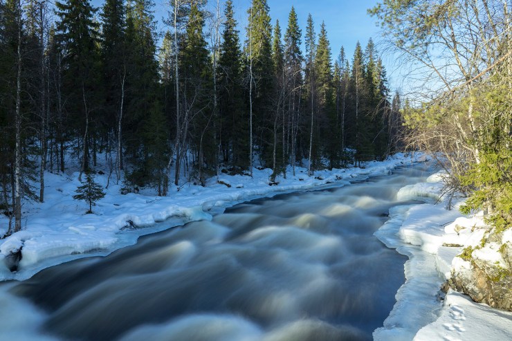 aallokkokoski-tero-hintsa-2-2017-3