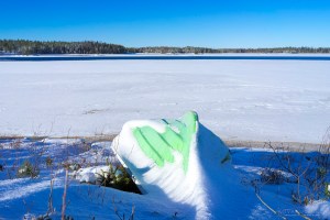 Kuvakulmilla Tero Hintsa